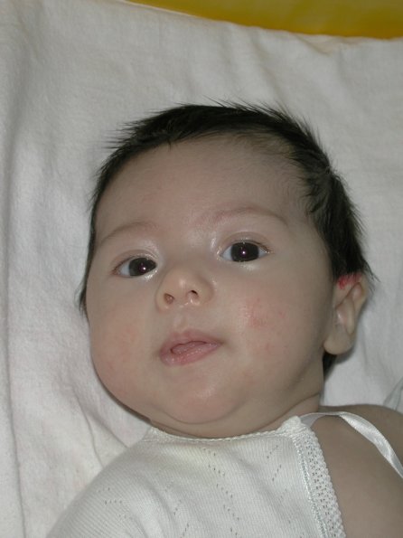 20010213_083252_DSCN1141