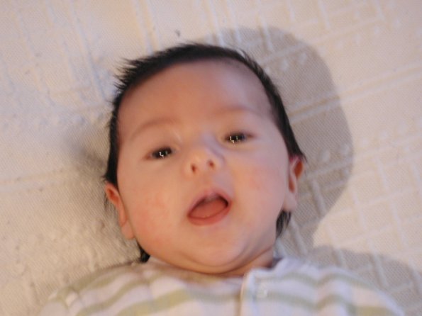 20010213_084516_DSCN1158