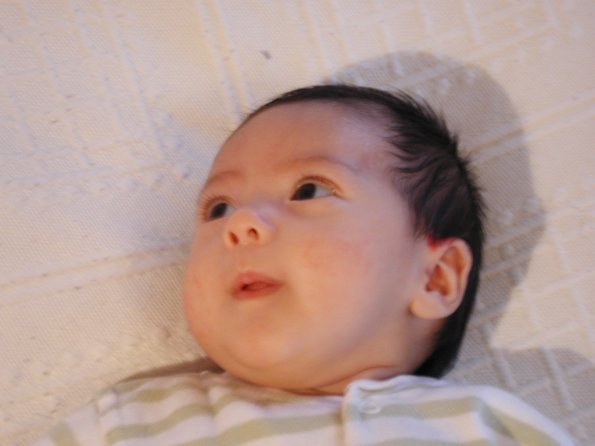 20010213_084531_DSCN1160