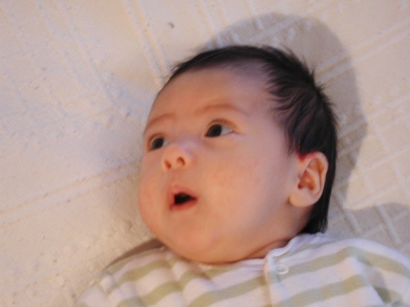 20010213_084543_DSCN1161