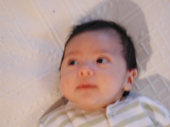 20010213_084552_DSCN1162