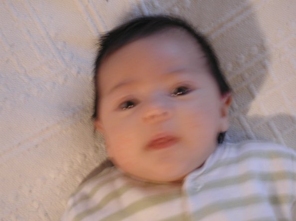 20010213_084614_DSCN1164