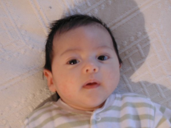 20010213_084621_DSCN1165