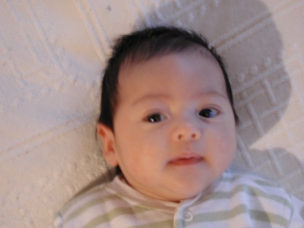 20010213_084630_DSCN1166