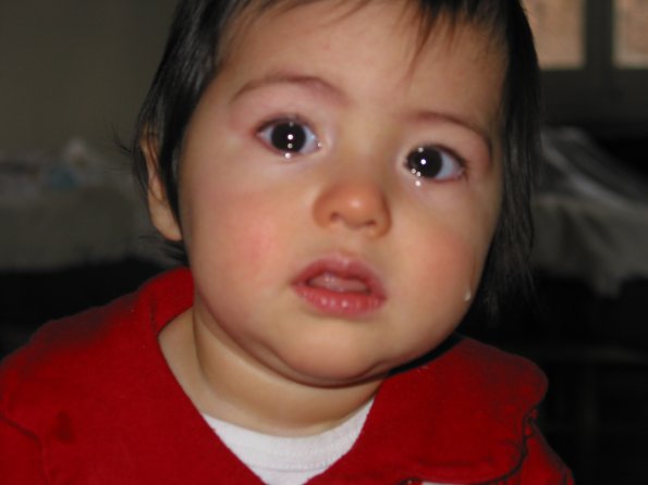 20011209_160813_100-0098_IMG