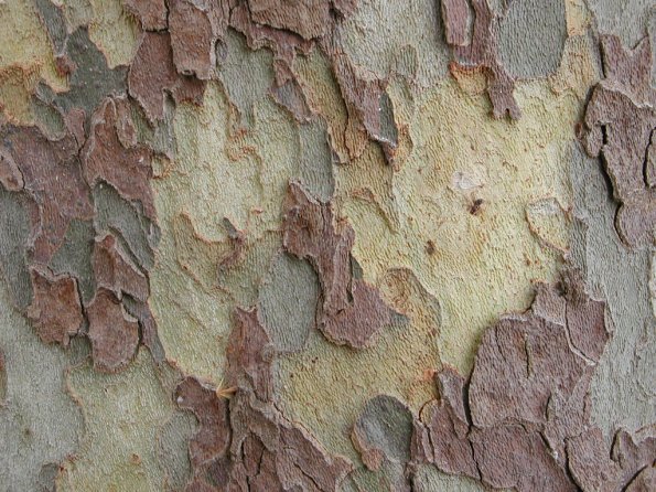 20020630_160304_DSCN4331