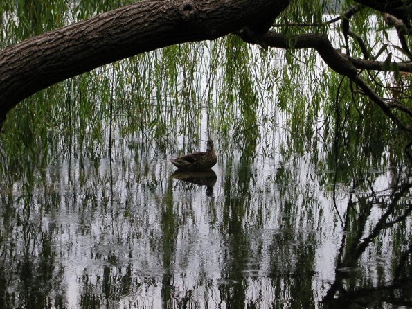 20020630_161825_DSCN4333