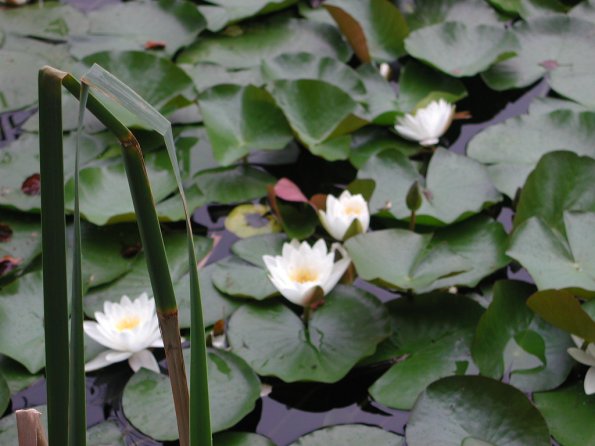 20020630_161922_DSCN4334