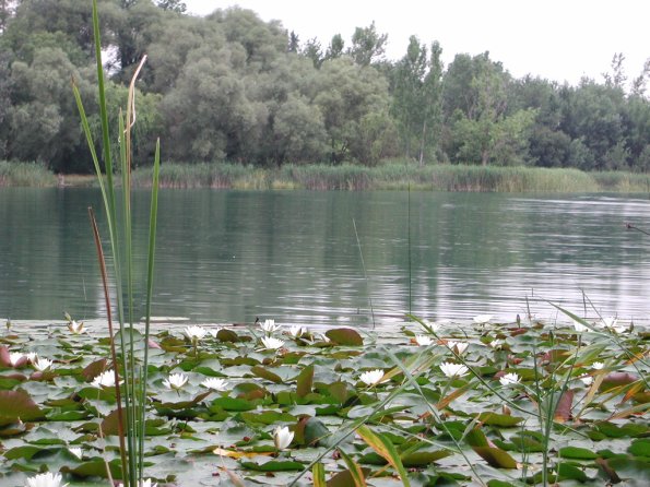 20020630_161950_DSCN4336