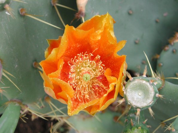 20020630_165216_DSCN4347