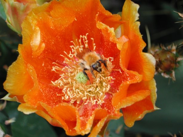 20020630_165238_DSCN4349