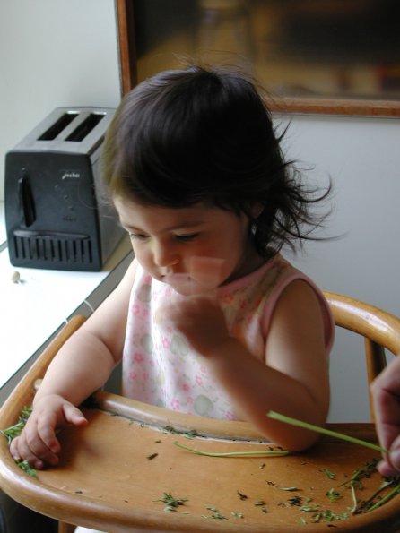 20020711_134113_DSCN4396