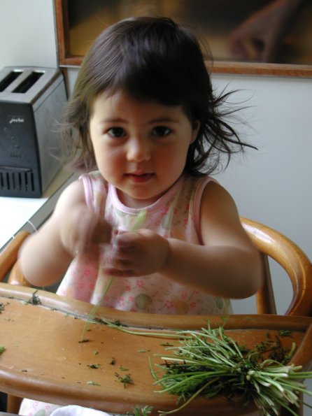 20020711_134120_DSCN4397