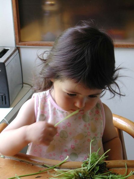 20020711_134142_DSCN4398