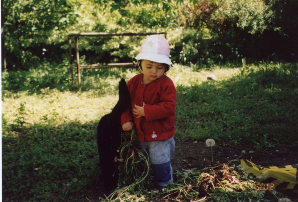 photo0