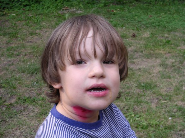 20030628_183350_DSCN0007