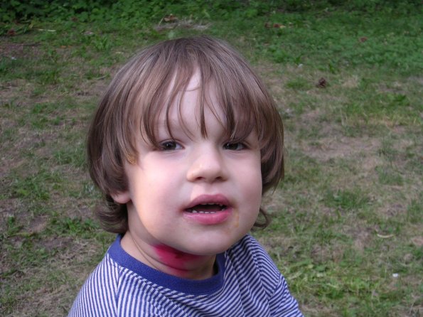 20030628_183355_DSCN0008