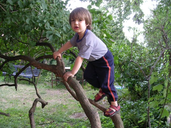 20030628_183804_DSCN0013