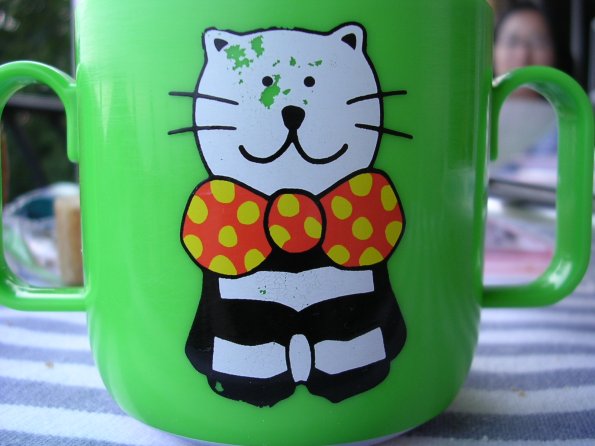 20030628_204246_DSCN0026