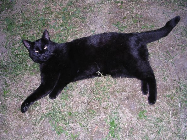 20030629_212827_DSCN0083