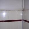 DSCN0123