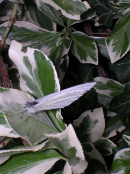 20030703_182814_DSCN0216