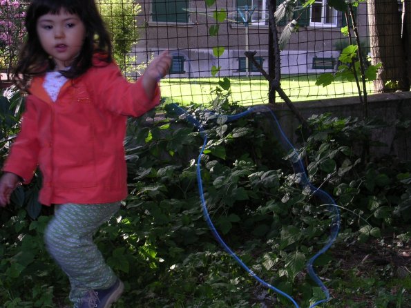 20030703_190240_DSCN0221