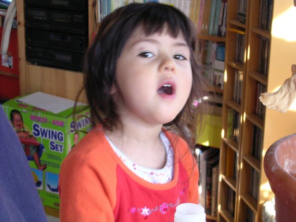 20030704_175634_DSCN0246