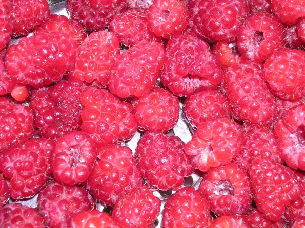 20030705_125929_DSCN0267