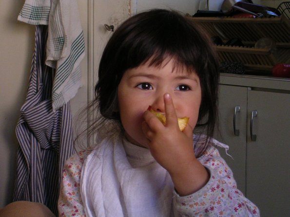 20030705_175836_DSCN0277