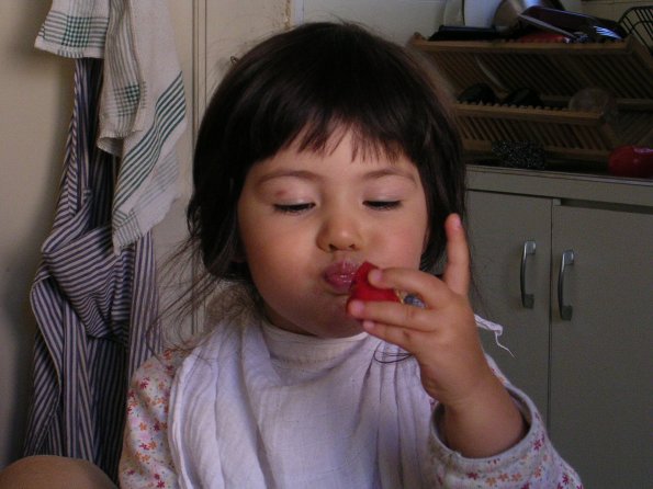 20030705_175836_DSCN0278