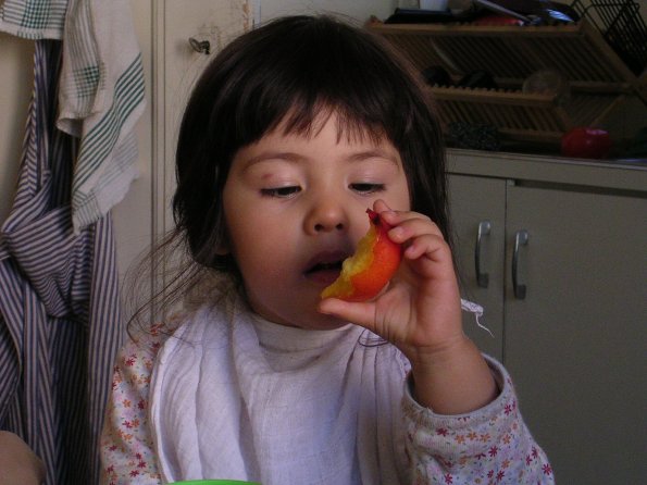 20030705_175847_DSCN0279