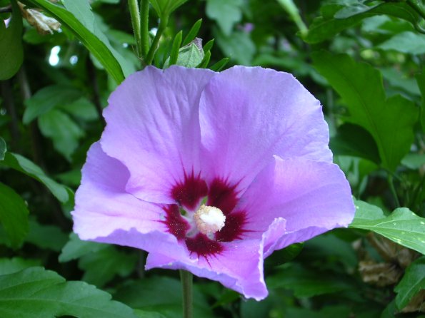 20030705_184725_DSCN0289