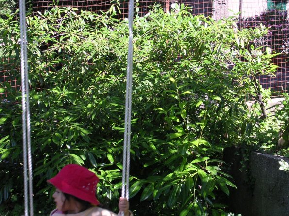 20030706_112035_DSCN0311