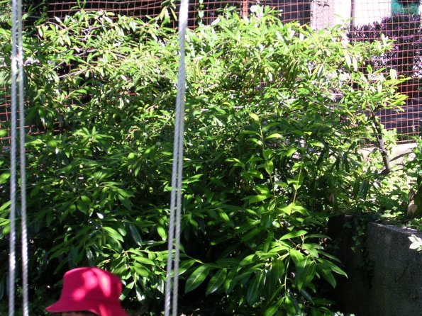 20030706_112044_DSCN0312