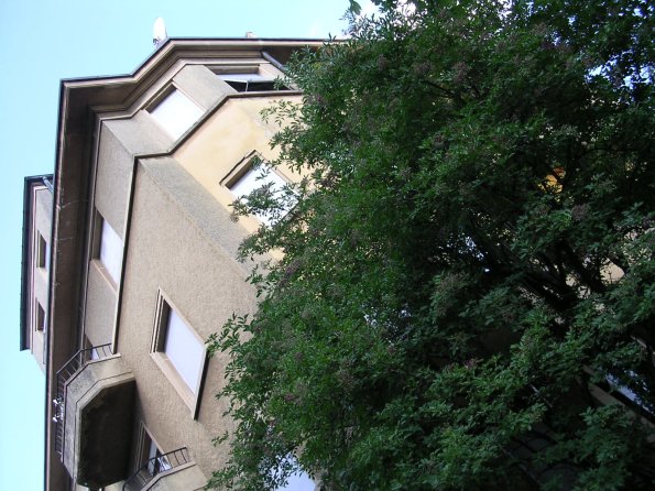 20030711_180350_DSCN0348