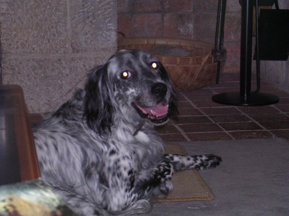 20030723_234947_DSCN0547