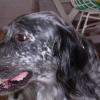 20030727_100837_DSCN0554
