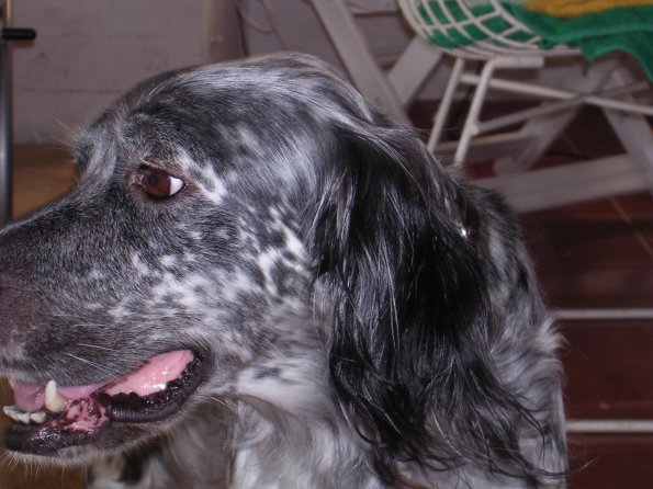 20030727_100837_DSCN0554