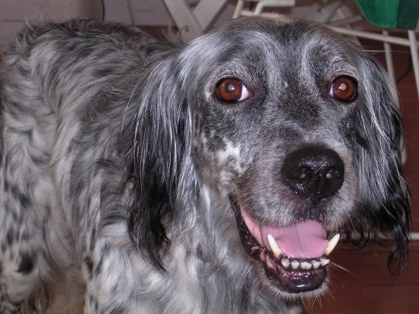 20030727_100852_DSCN0555