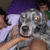 20030727_225456_DSCN0571