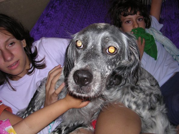 20030727_225456_DSCN0571