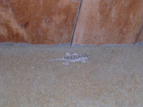 20030802_223524_DSCN0632