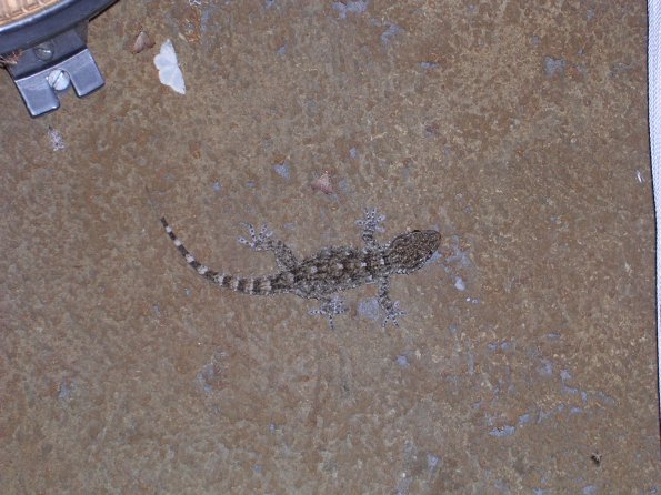 20030802_223559_DSCN0633