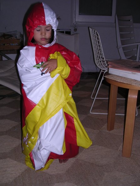 20030817_233636_DSCN0705
