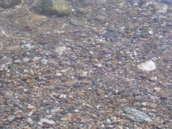20030819_122736_DSCN0726