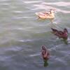 20030824_145649_DSCN0768