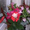 20031111_180012_DSCN1134