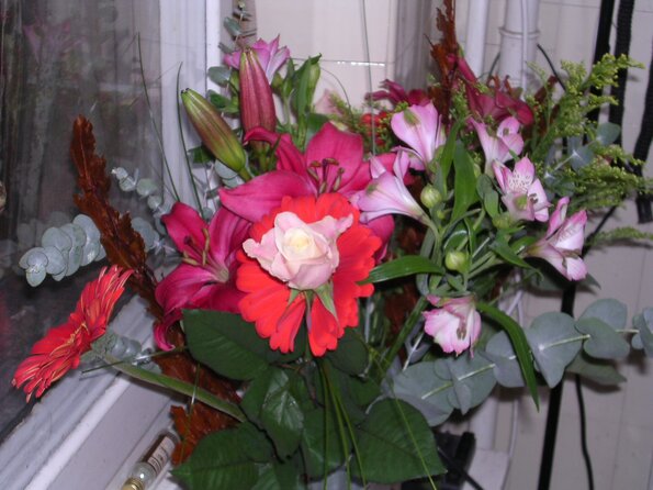 20031111_180012_DSCN1134