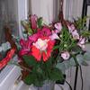 20031111_180027_DSCN1135